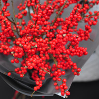 Букет ИЛЕКС