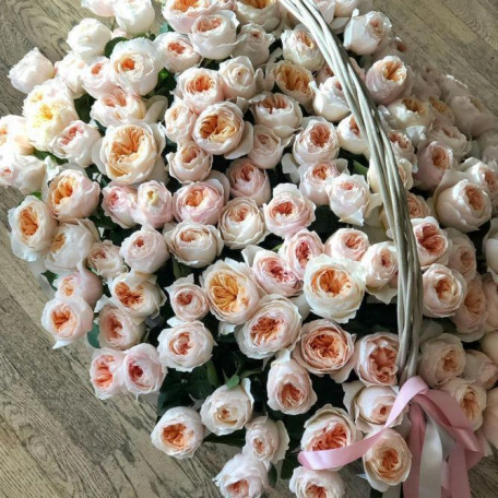 125 шикарных пионовидных роз в корзине