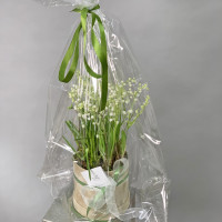 Ландыши с мускари в коробке (круглогодично)