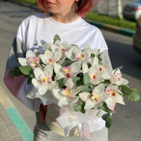 Композиция Орхидеи Цимбидиум