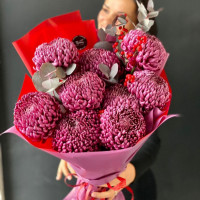 Букет хризантем БАКЛАЖАН с эвкалиптом