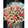 Тюльпаны простые (бело+розовый) 101 шт