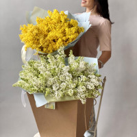 Букет МИМОЗА, L