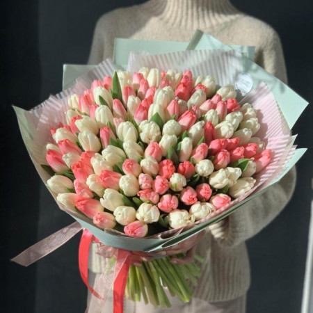 Тюльпаны простые (бело+розовый) 101 шт