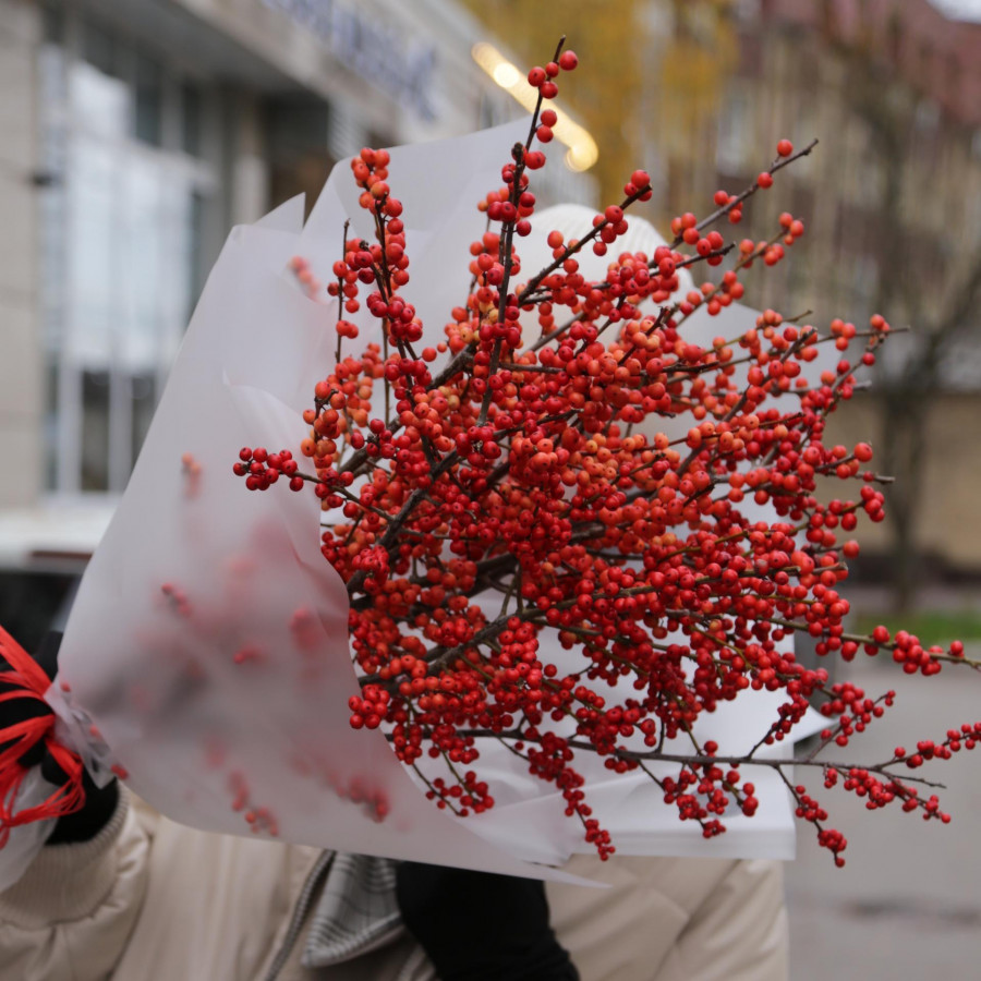 Зимний букет ИЛЕКС