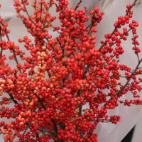 Зимний букет ИЛЕКС