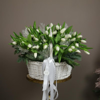 Рождественская корзина с тюльпанами * 49 шт с хвоей и морозными веточками *