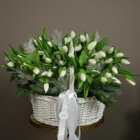 Рождественская корзина с тюльпанами * 49 шт с хвоей и морозными веточками *