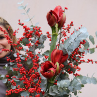 Зимний букет ИЛЕКС+АМАРИЛЛИС