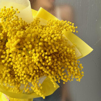 Монобукет МИМОЗА