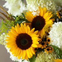 Букет СОЛНЦЕ В ОБЛАКАХ