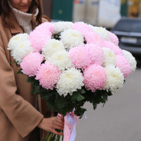 Букет ХРИЗАНТЕМЫ МИКС, 25 шт.