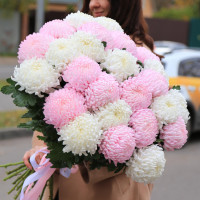 Букет ХРИЗАНТЕМЫ МИКС, 25 шт.