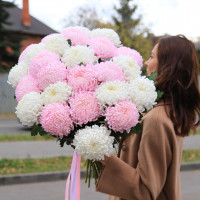 Букет ХРИЗАНТЕМЫ МИКС, 25 шт.