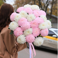 Букет ХРИЗАНТЕМЫ МИКС, 25 шт.