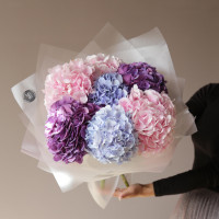 Букет ГОРТЕНЗИЯ МИКС, 7 шт