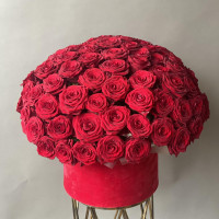 Композиция 101 АЛАЯ РОЗА