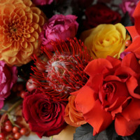 Ящичек О БОЖЕ МОЙ!