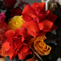 Ящичек О БОЖЕ МОЙ!