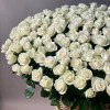 Шикарная корзина белых роз, 201 шт.