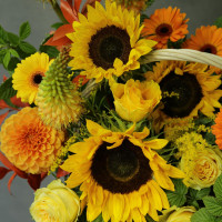 Корзина яркая осенняя с георгинами и подсолнухами