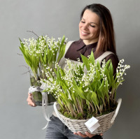 Весенние ЛАНДЫШИ в корзине, 49 шт,   (Премиум мини-садик)