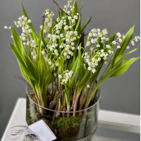 Ваза ЛАНДЫШИ 25 шт,  S  в цилиндре