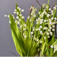 Ваза ЛАНДЫШИ 25 шт,  S  в цилиндре