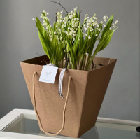 Ваза ЛАНДЫШИ 25 шт,  S  в цилиндре