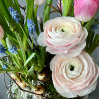 Весенняя композиция с тюльпанами и ранункулюсами