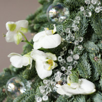 Авторская елочка ХРУСТАЛЬ с живыми орхидеями