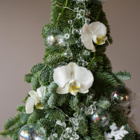 Авторская елочка ХРУСТАЛЬ с живыми орхидеями