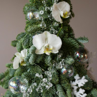 Авторская елочка ХРУСТАЛЬ с живыми орхидеями