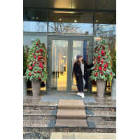 Елка с оформлением в кашпо натур пихта РЕД стиль