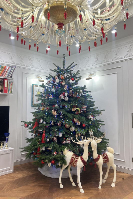 ЖИВАЯ пихта с оформлением НОСТАЛЬГИЯ, 2,5 м