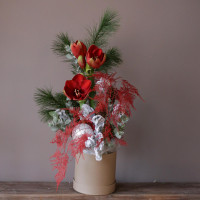 Композиция КРАСНЫЙ АМАРИЛЛИС в коробке