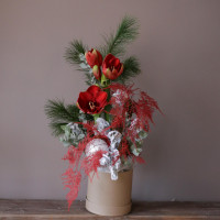 Композиция КРАСНЫЙ АМАРИЛЛИС в коробке