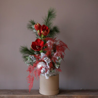 Композиция КРАСНЫЙ АМАРИЛЛИС в коробке