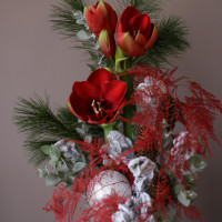 Композиция КРАСНЫЙ АМАРИЛЛИС в коробке