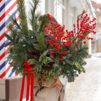 Рождественский * букет из ели и илекса в корзине *