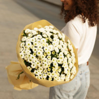 Букет КУСТОВЫЕ ХРИЗАНТЕМЫ, 25 шт