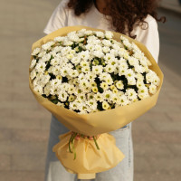 Букет * КУСТОВЫЕ ХРИЗАНТЕМЫ * 25 шт