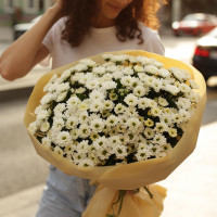 Букет КУСТОВЫЕ ХРИЗАНТЕМЫ, 25 шт