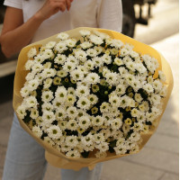 Букет * КУСТОВЫЕ ХРИЗАНТЕМЫ * 25 шт