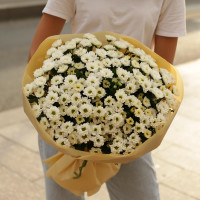 Букет КУСТОВЫЕ ХРИЗАНТЕМЫ, 25 шт