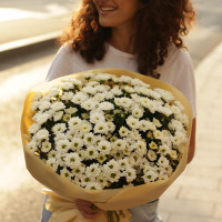 Букет * КУСТОВЫЕ ХРИЗАНТЕМЫ * 25 шт