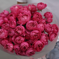 Букет малиновых пионовидных роз МАРСАЛА