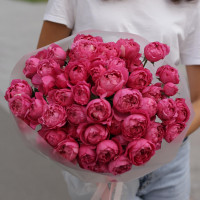Букет малиновых пионовидных роз МАРСАЛА