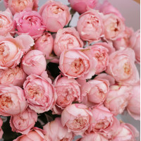 Букет кустовых пионовидных рох ПЕРСИК, 11 шт.