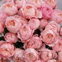 Букет кустовых пионовидных рох ПЕРСИК, 11 шт.